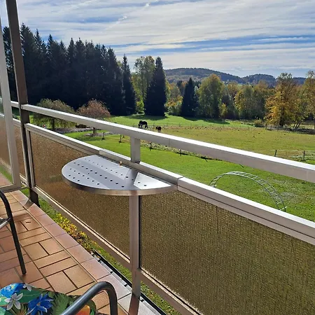 Ferienhaus Waldhaus Flammersberger Spiegelau